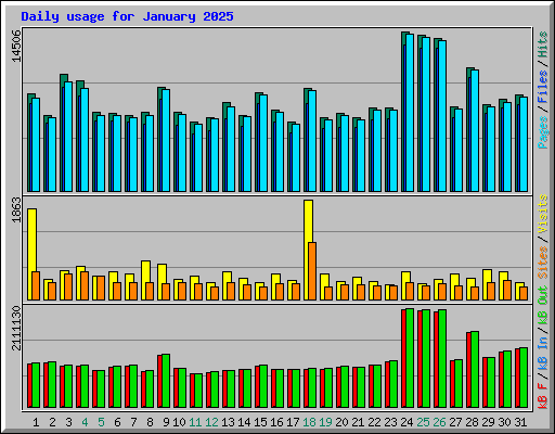 Daily usage for January 2025