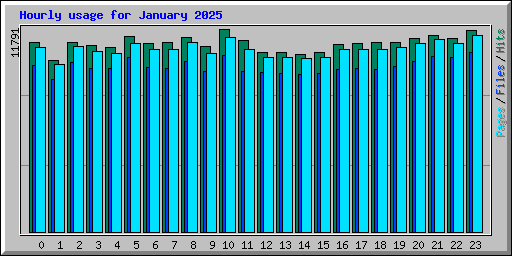 Hourly usage for January 2025