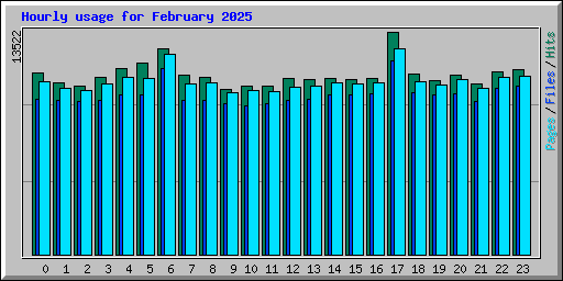 Hourly usage for February 2025