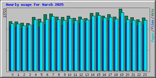Hourly usage for March 2025