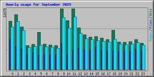 Hourly usage for September 2025
