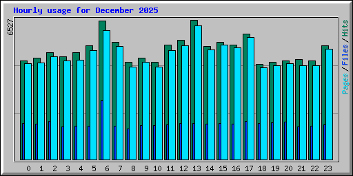 Hourly usage for December 2025