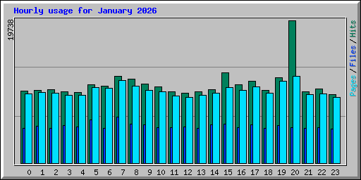 Hourly usage for January 2026